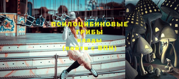 твердый Медногорск