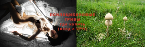 бутират Ладушкин