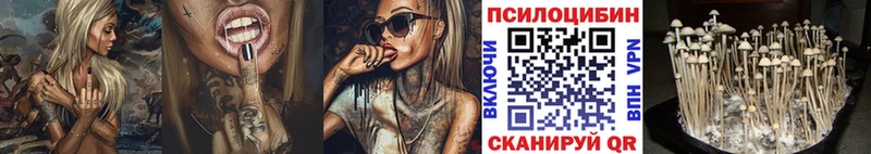 Галлюциногенные грибы мицелий  Томари 
